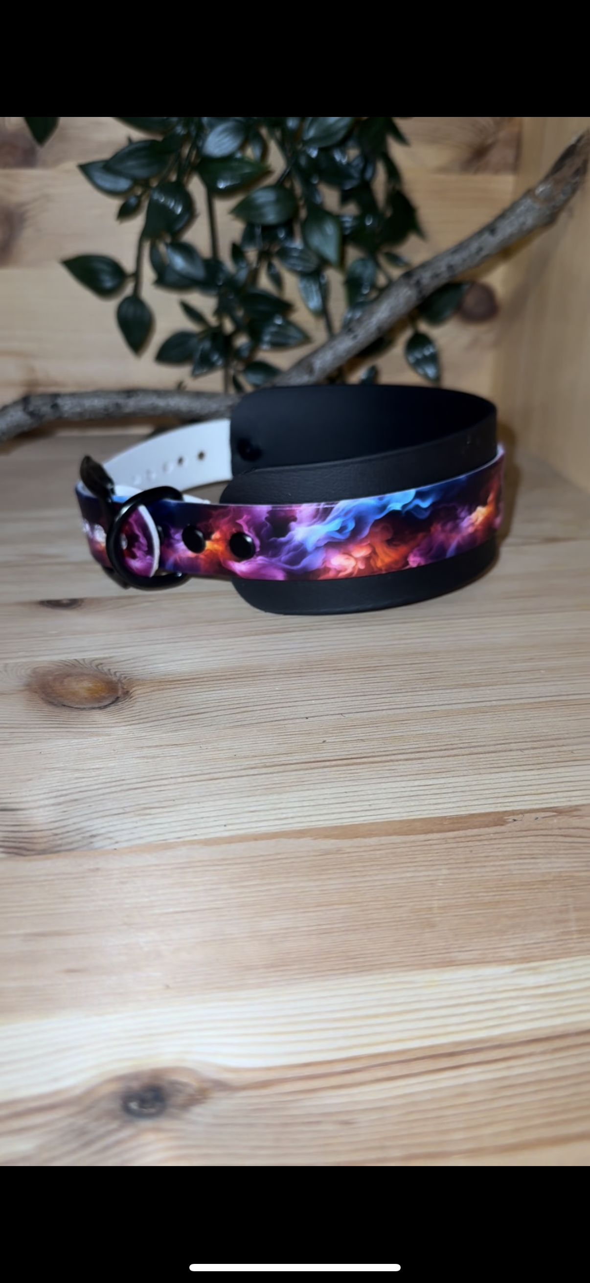 Biothane-Halsband