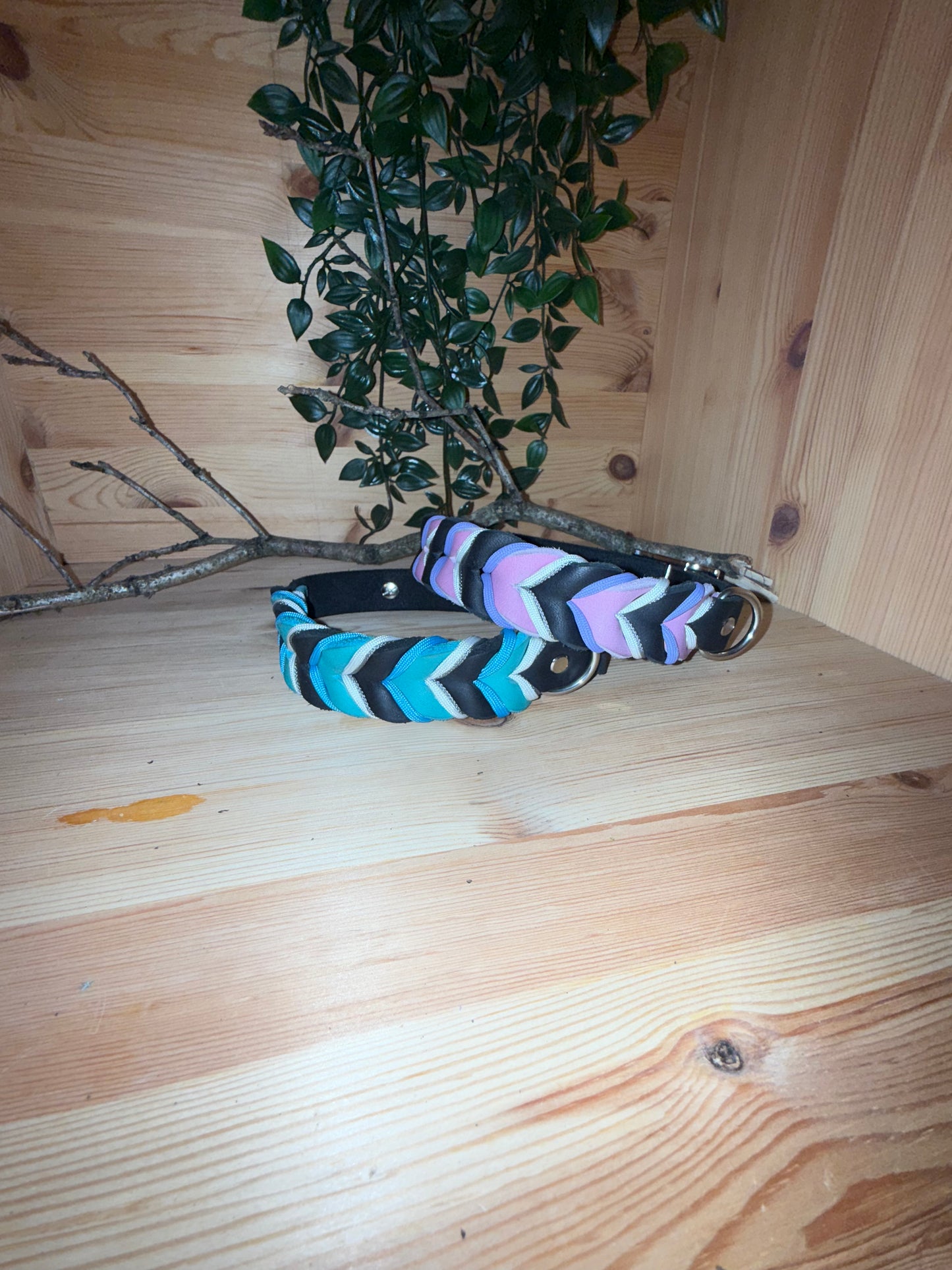 Leder-Halsband Grand Paws