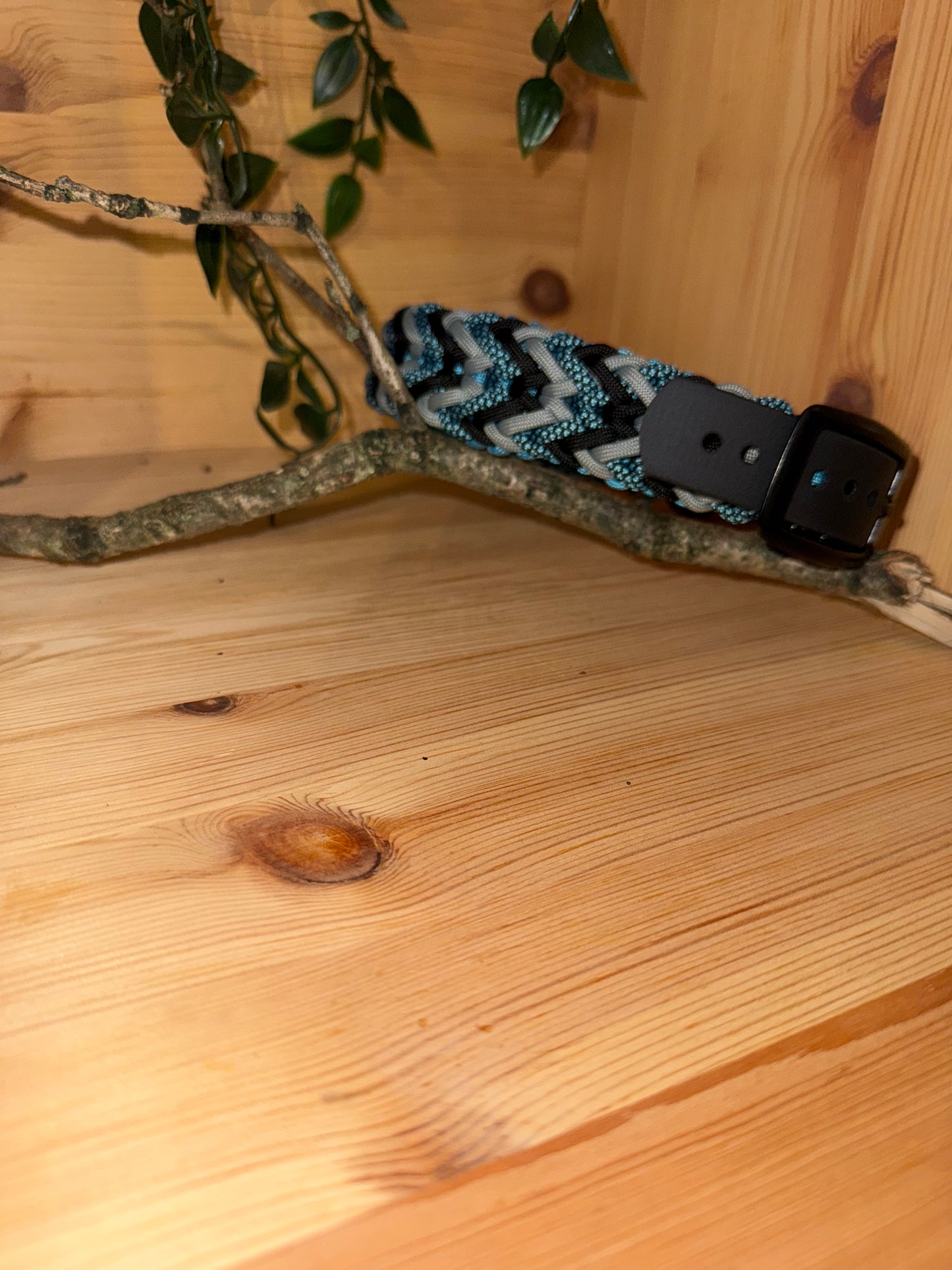 Paracord-Halsband „Nox“