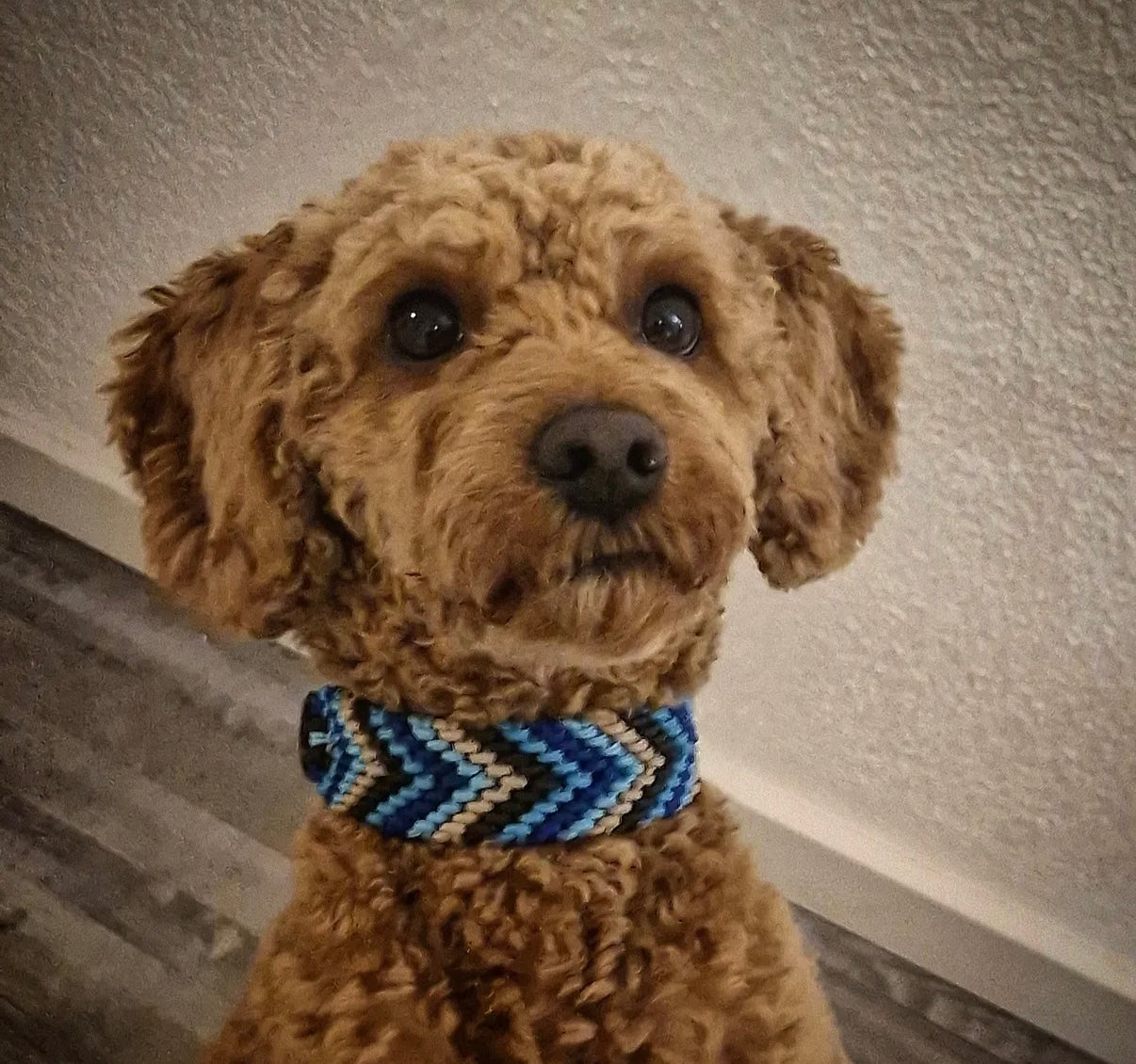 Paracord-Halsband „Luva“