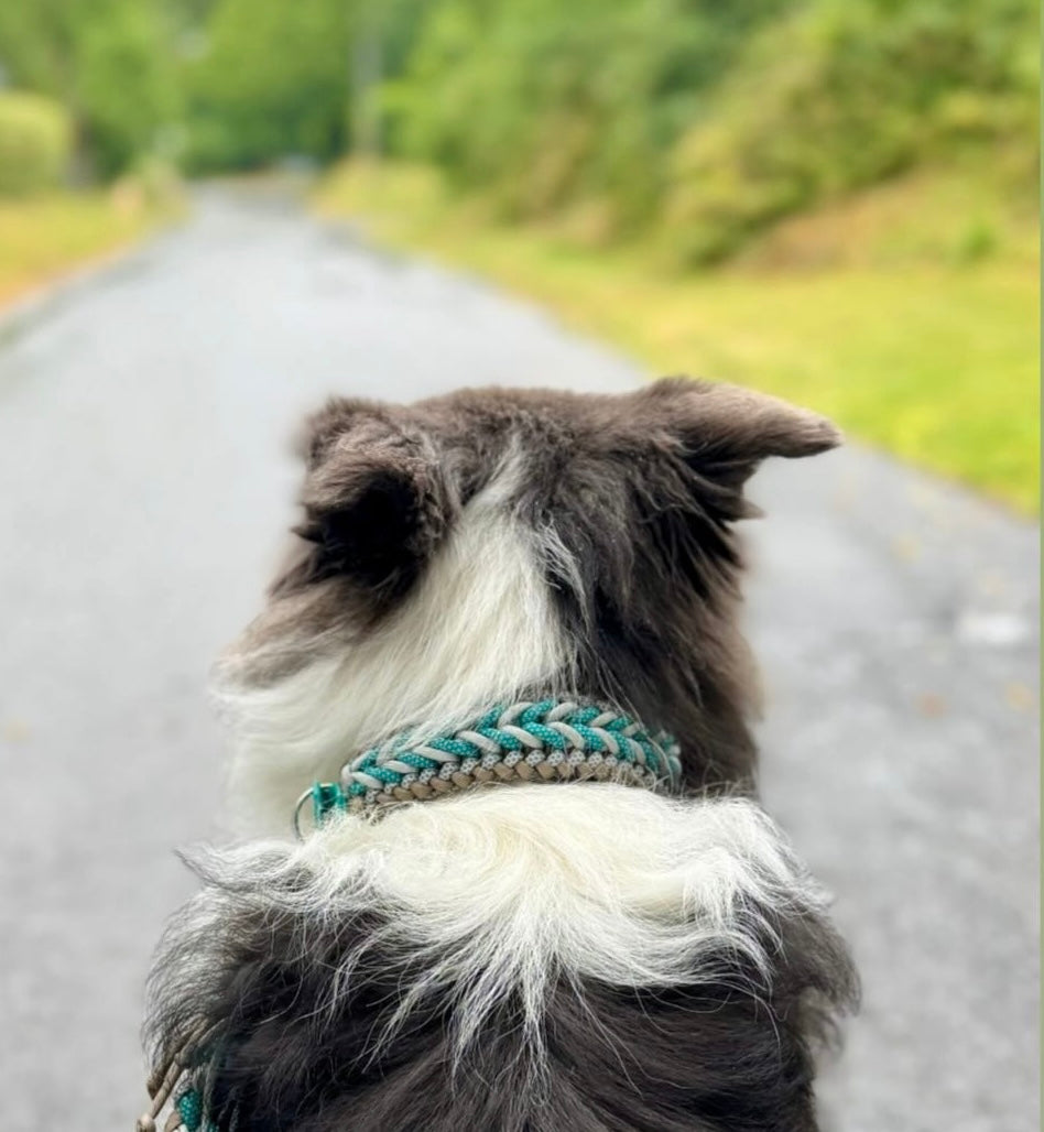 Paracord-Halsband „Nova“