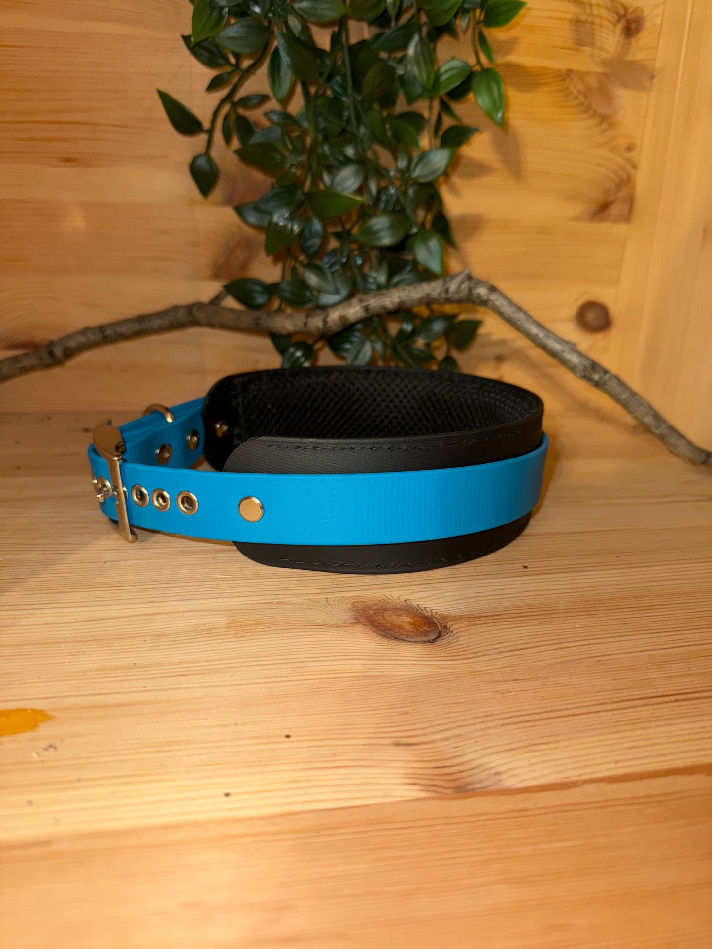 Biothane-Halsband